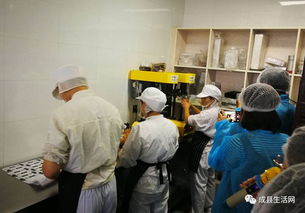 近日,陇南生活网团队观摩成县优点食品厂