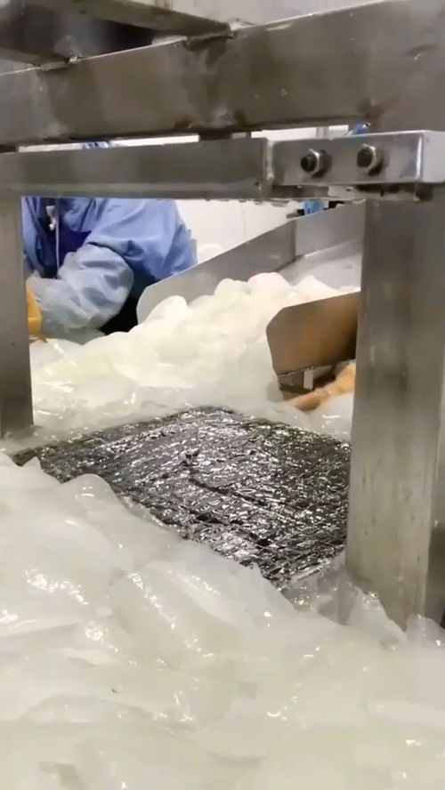 到食品厂上班后,我就对芦荟酸奶没兴趣了,即使它再有营养