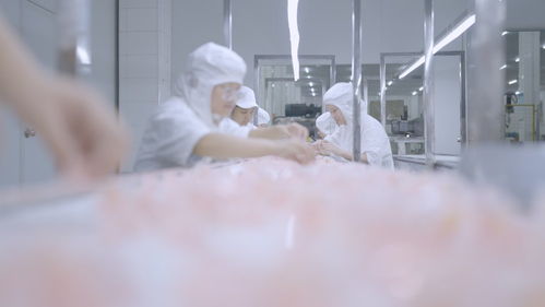 科技引领生产 黑湖科技与华为云助力蜡笔小新食品打造智慧工厂
