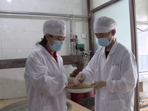 头林镇 精准扶贫再发力 企业帮扶暖人心