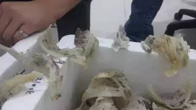 燕窝名字如何区分呢 什么是燕盏,怎么区分呢