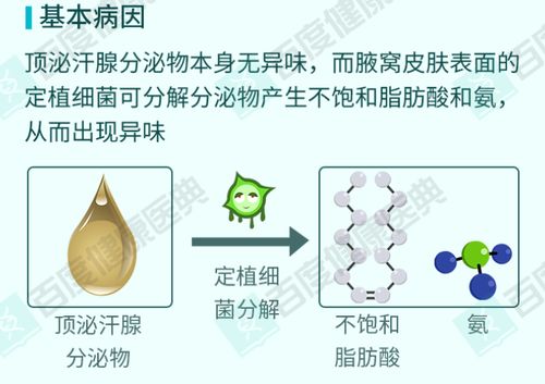 我快被狐臭折磨疯了,用啥都遮不住膻臭味 求一个真正管用的去狐臭产品 拜托了