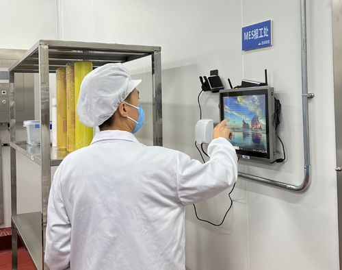 盒马两大新型供应链中心投产 每个工位一台平板电脑监控流程